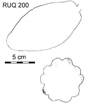 Drawing of pod outlines.